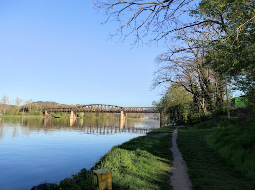 Mainufer Miltenberg - Thumbnail