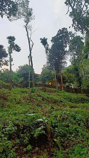 Gallery image 6