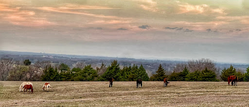 2R Ranch & Equestrian Center - Thumbnail
