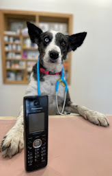 Photo n°7 de Clinique vétérinaire Vétocimes - Briançon - Sevetys à Briançon (Vétérinaire)