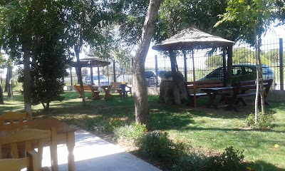 Bar Restorant ``Vila Peshkatarit``