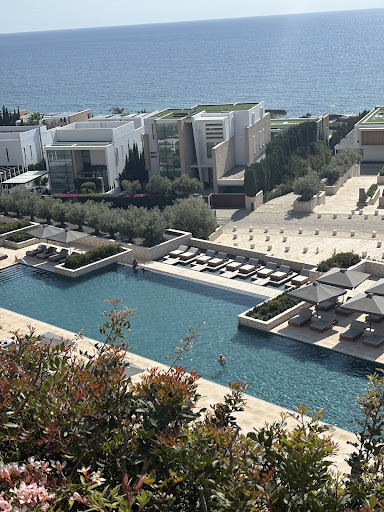 Edyta Nieruchomości