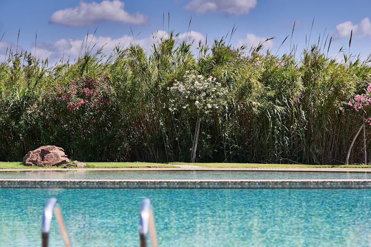 Baia di Chia Resort Sardinia, Curio Collection by Hilton by null