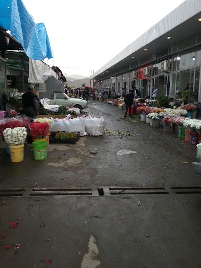 Photos of Emam Reza Flower Market