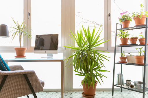 CUBE HOUSE Studio