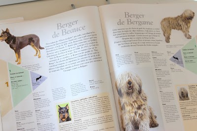 Photos of Beumont Veterinary Center