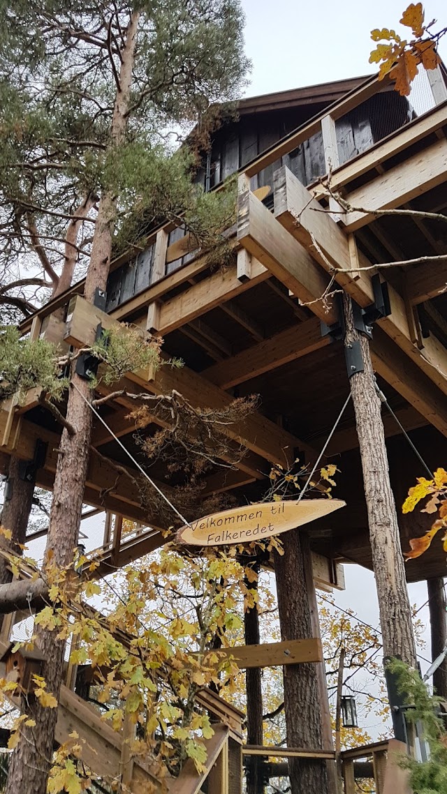 Tretopphytter Oslofjord