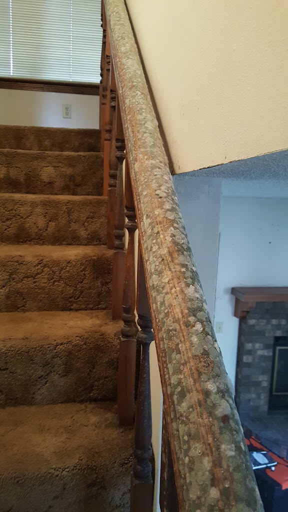 Indoor Environmental Health Systems, LLC photo