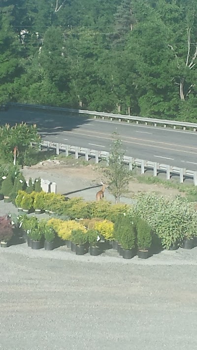 Photos of GUMBLE'S GARDEN CENTER