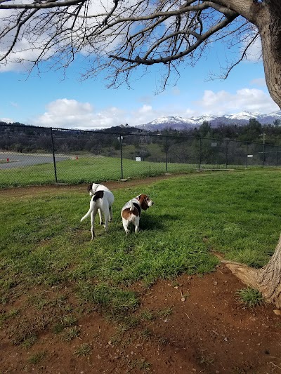 Benton Dog Park - Redding