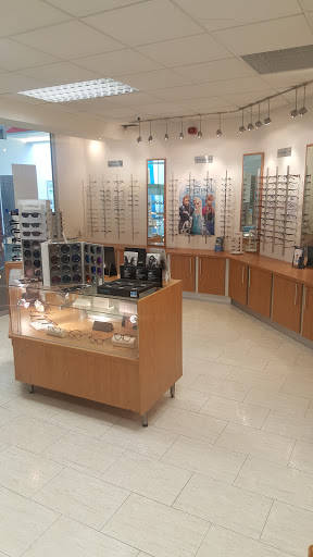 Focus Optics - Visual