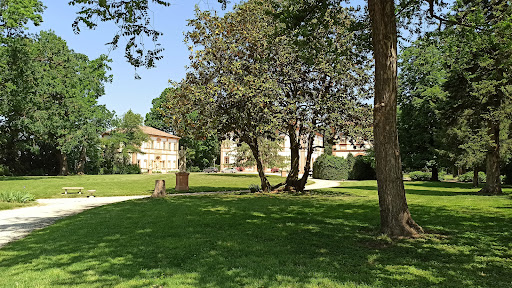 Villa Massari - Visual