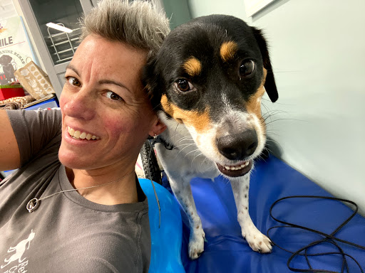 Fetch Canine Rehab Logo