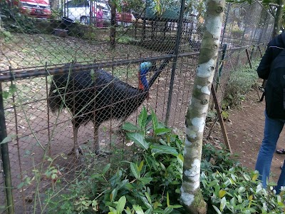 Photos of Taman Mas Educational Facilities Purbasari
