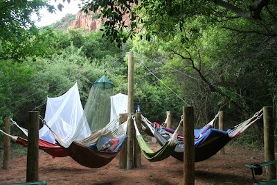 Photos of Mashovhela Bush Lodge