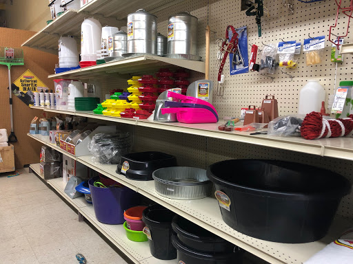 The Feed Bin - Visual