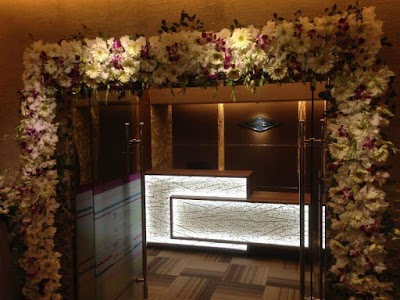 Photos of Pakiza Group