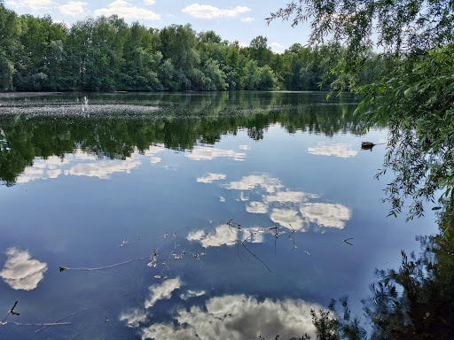 Weiher bei Hanhofen - Thumbnail