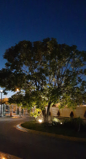 Arrayanes Park - Visual