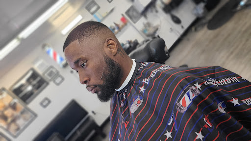 Organik Cuts Gallery - United States