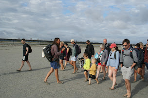 Photo n°20 de Patrice TRÈCHE - Guide baie Mont Saint-Michel à Genêts (Promenade)