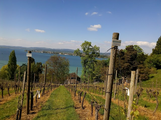 Napoleonmuseum Thurgau - Schloss und Park Arenenberg