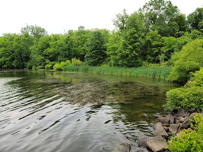 Gifford Pinchot State Park