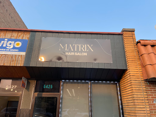 Matrix Hair Salon Logo