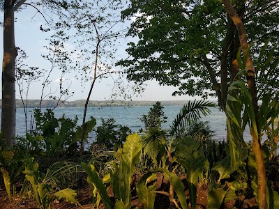 Photos of Hotel Maya Internacional