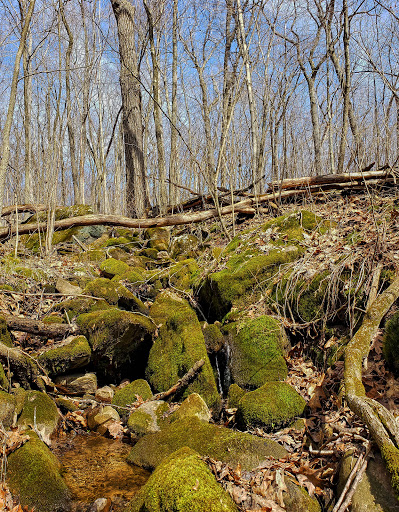 Lost Lake State Natural Area