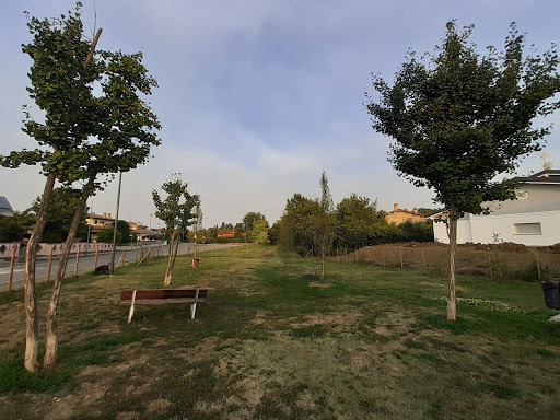 Parco per cani - Visual
