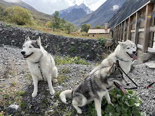Photo n°3 de You ski en terre happy à Valloire (Pension pour chiens)