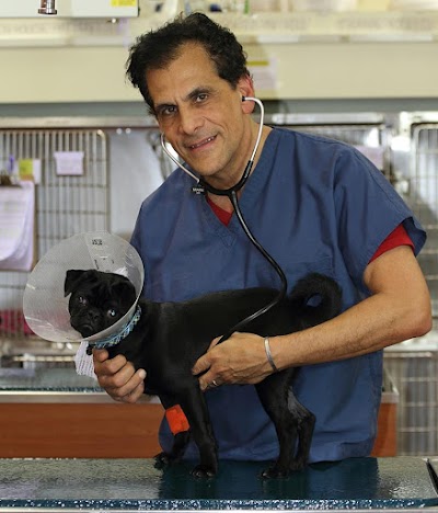 Photos of Crown Veterinary Specialists