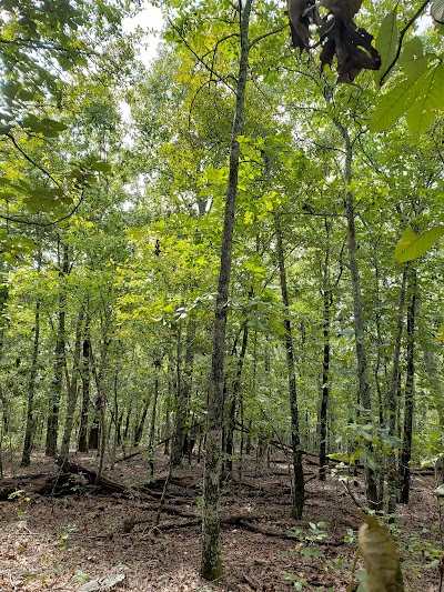 West Mountain Trail