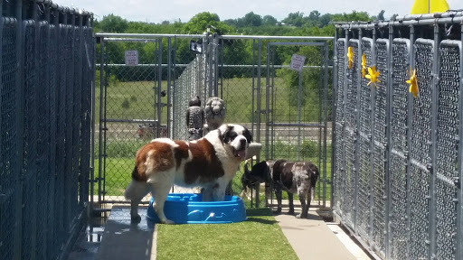 Broken Arrow Pet Resort & Spa - Thumbnail