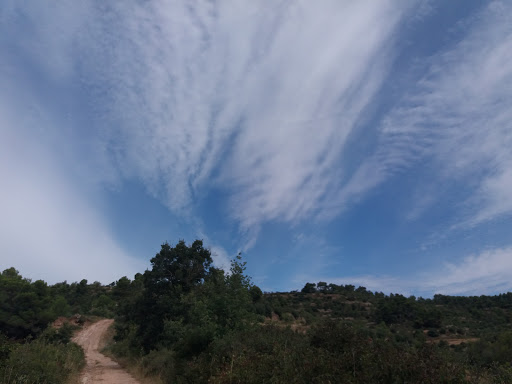 Vallbona - Visual