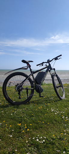 Ebike Repairs - Visual