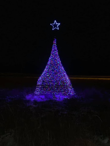 Glenn Highway Christmas Tree - Thumbnail
