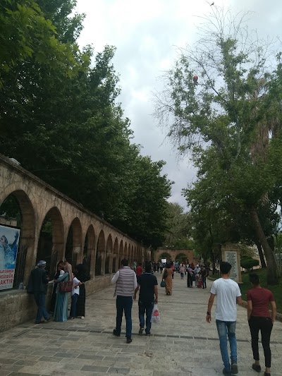 Photos of Urfa Doney İsot
