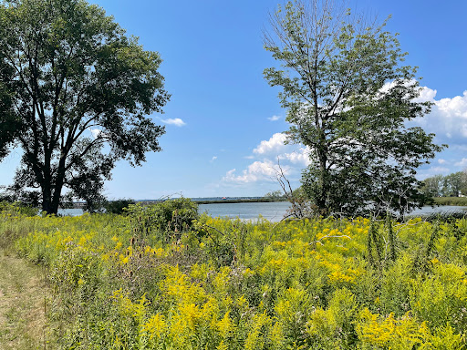 Times Beach Nature Preserve Gallery - United States