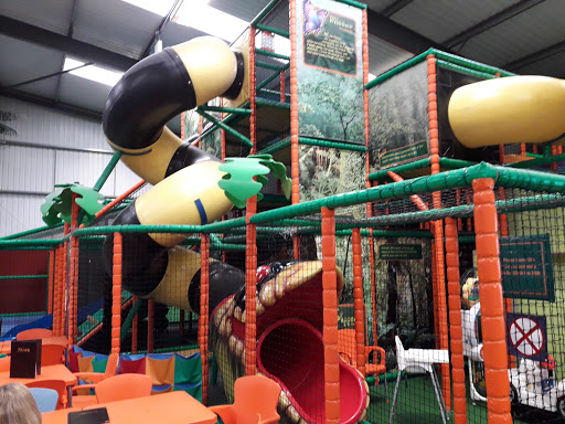 Roarsome Soft Play