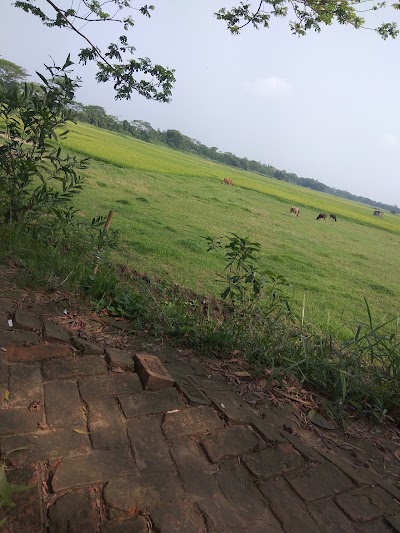 Photos of বাইতুল হারাম জামে মসজিদ