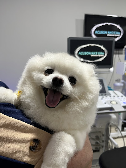 Nova Veterinary medicina veterinária avançada e empresarial