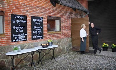 Photos of M&oslash;lleg&aring;rden