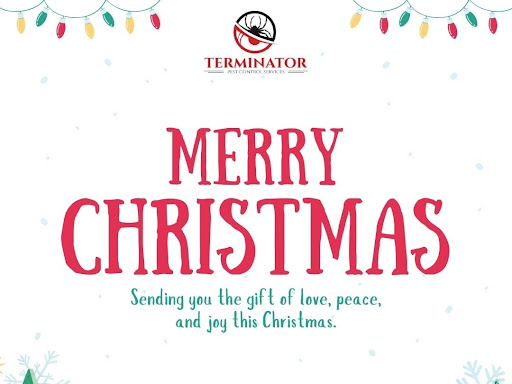 Update Preview