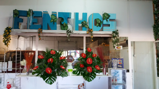 Fenthos Flor - Visual