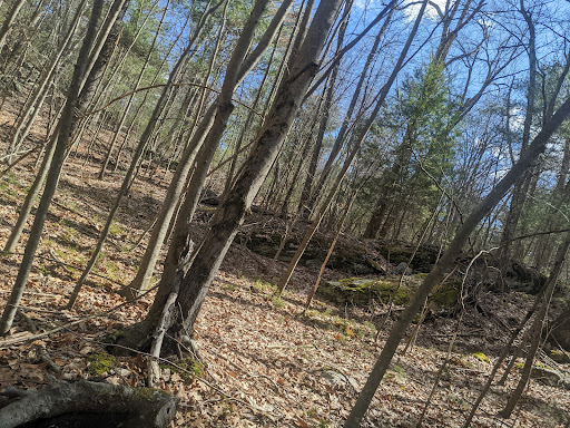 Steere Hill Glocester Land Trust Trailhead Gallery - United States