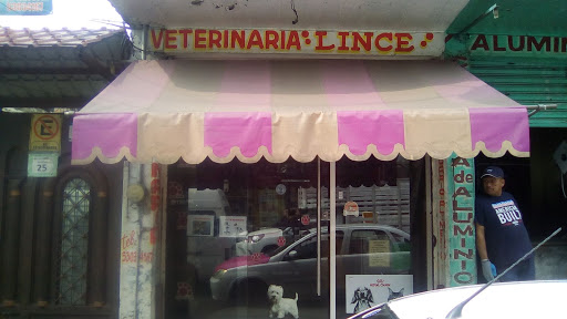 Veterinaria Lince