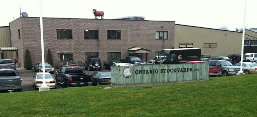 CCWG Livestock Supplies - Cookstown