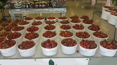 Photos of Johnson's Strawberry Farm